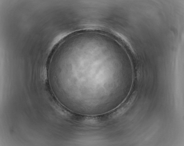 X0000111001267200906191543