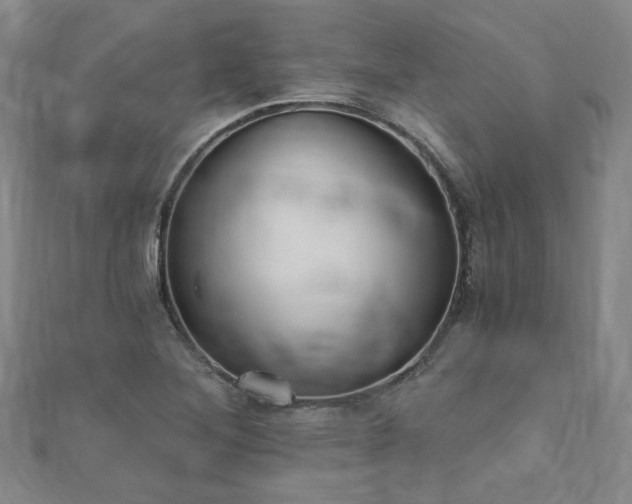 X0000111001268200906191543