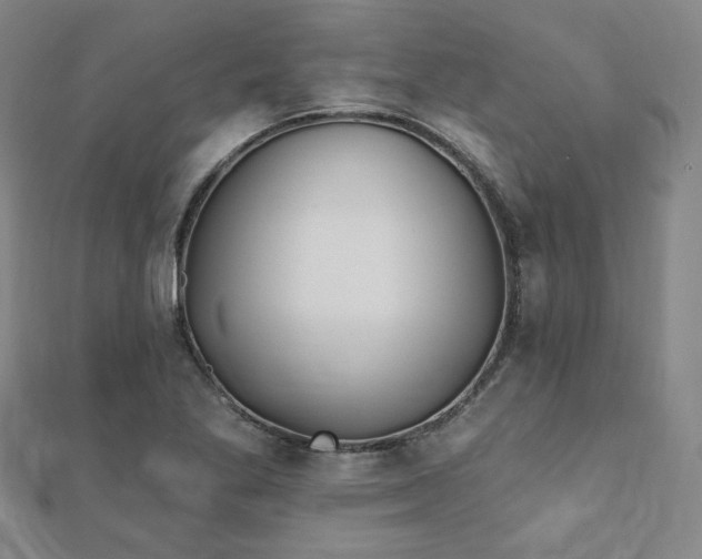 X0000111001269200906191543