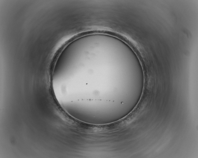 X0000111001271200906191543