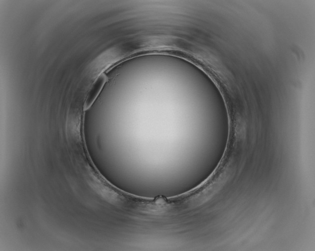 X0000111001273200906191543