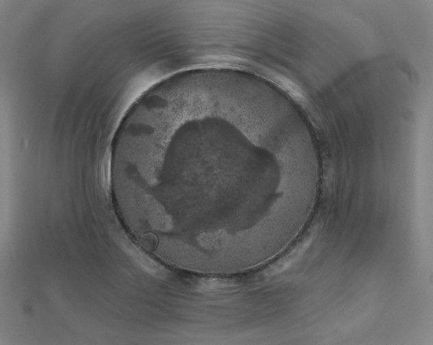 X0000111001275200906191543