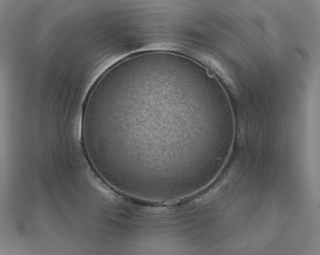 X0000111001276200906191543