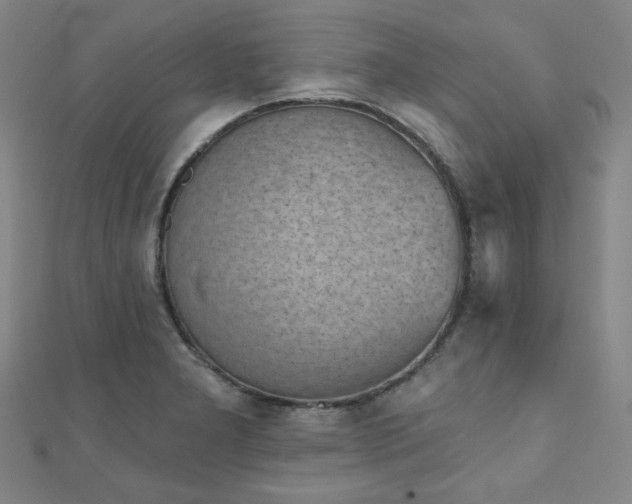 X0000111001277200906191543