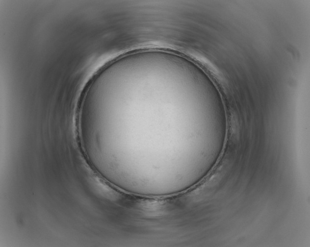 X0000111001278200906191543