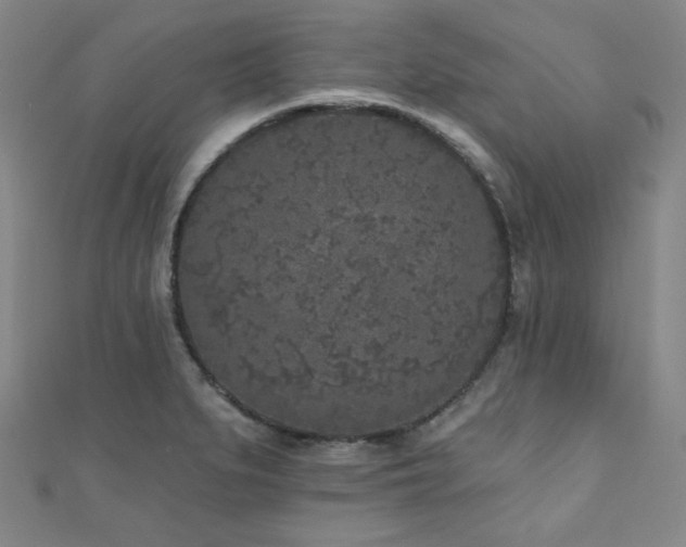 X0000111001279200906191543