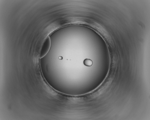 X0000111001281200906191543
