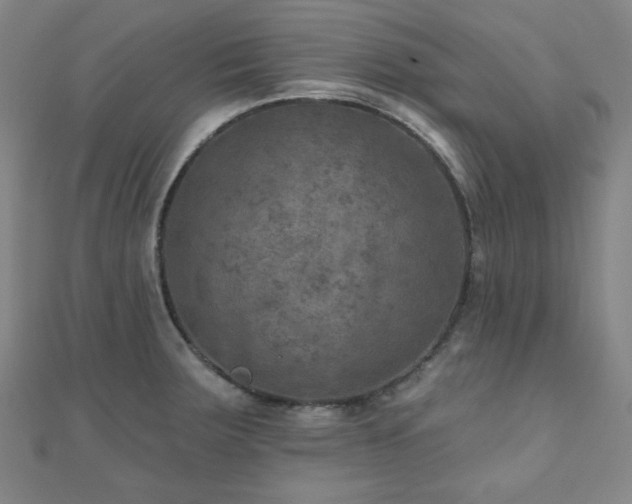 X0000111001283200906191543