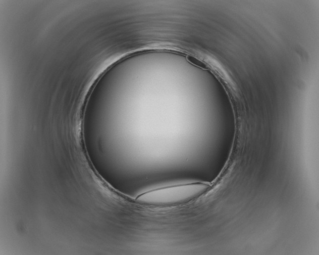 X0000111001284200906191543
