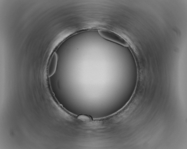 X0000111001285200906191543