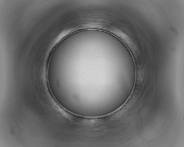 X0000111001286200906191543