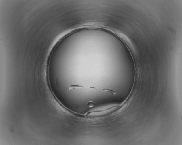 X0000111001288200906191543