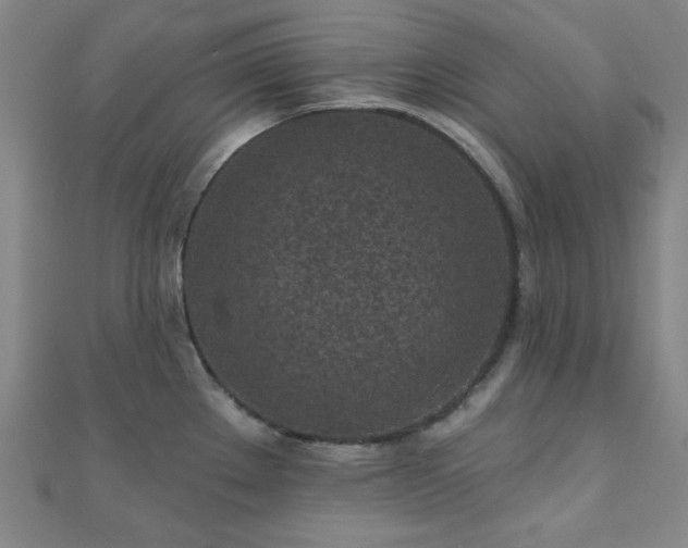 X0000111001289200906191543
