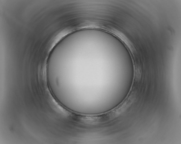 X0000111001290200906191543
