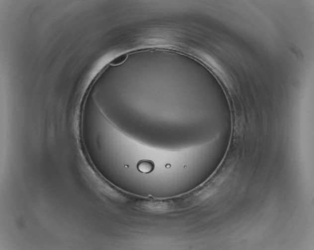 X0000111001291200906191543