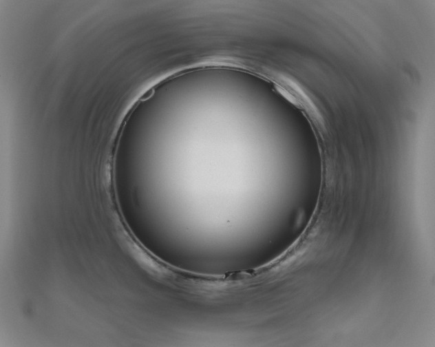 X0000111001292200906191543