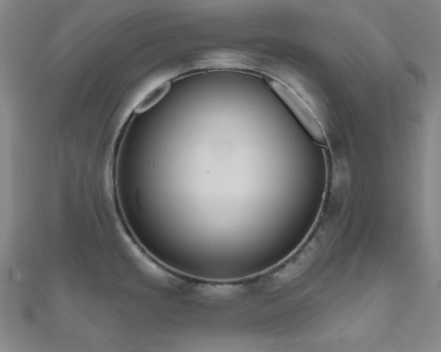 X0000111001293200906191543