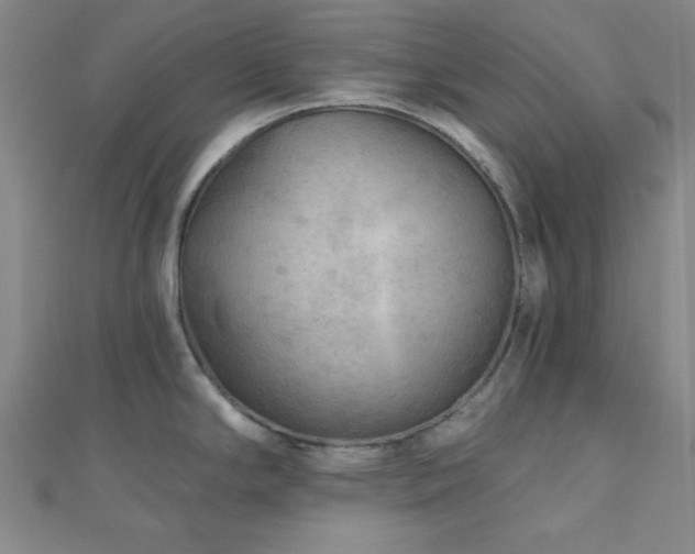 X0000111001294200906191543