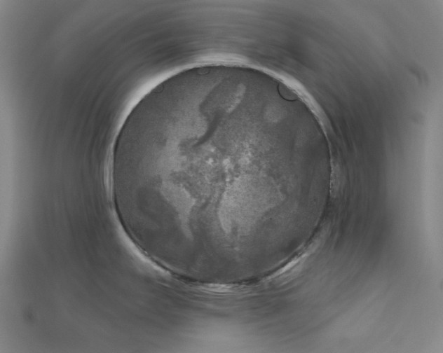 X0000111001295200906191543