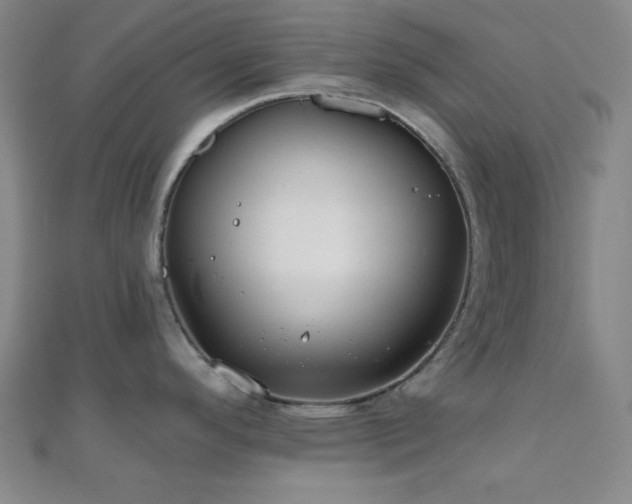 X0000111001296200906191543