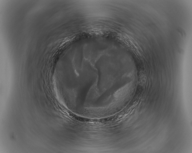 X0000111001297200906191542
