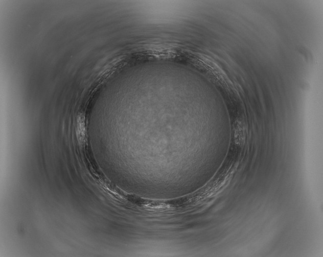 X0000111001298200906191542