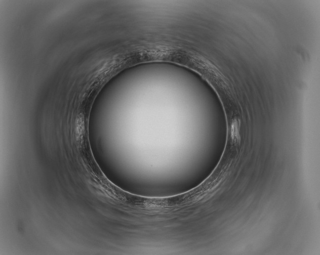 X0000111001299200906191542