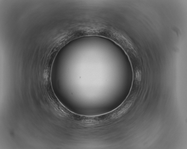 X0000111001300200906191542
