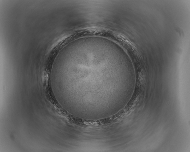 X0000111001302200906191542