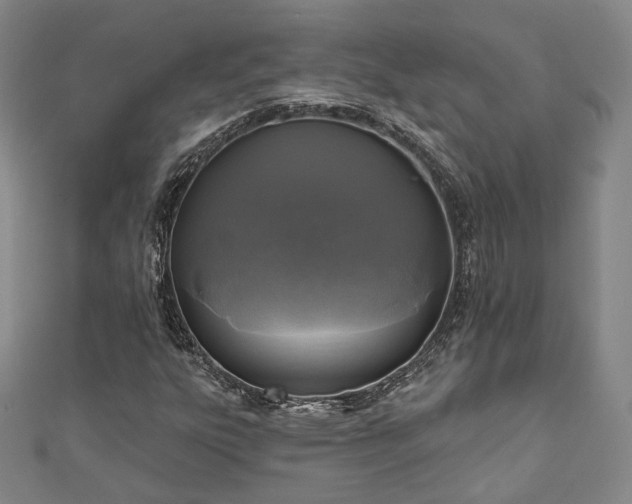 X0000111001303200906191542