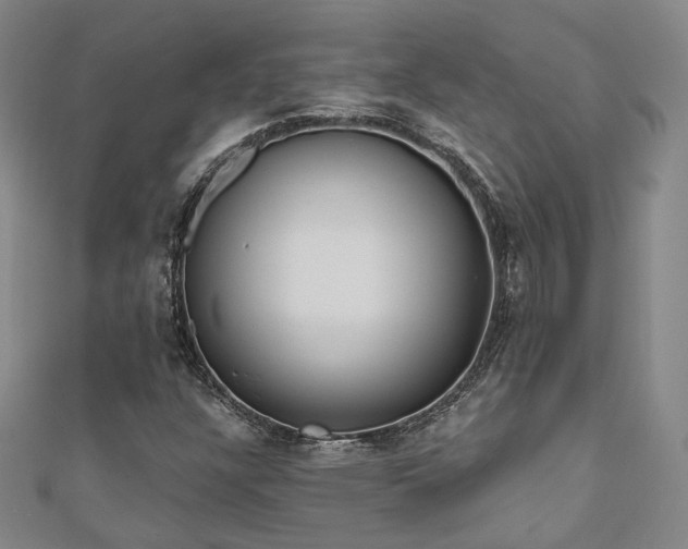 X0000111001304200906191542
