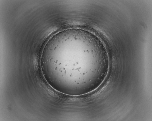 X0000111001305200906191542