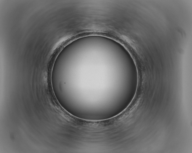 X0000111001307200906191542