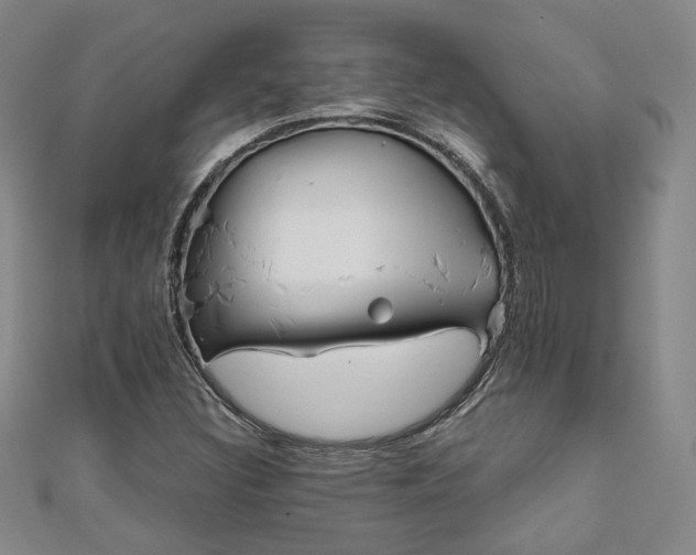 X0000111001308200906191542