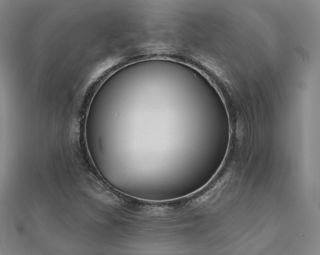 X0000111001309200906191542