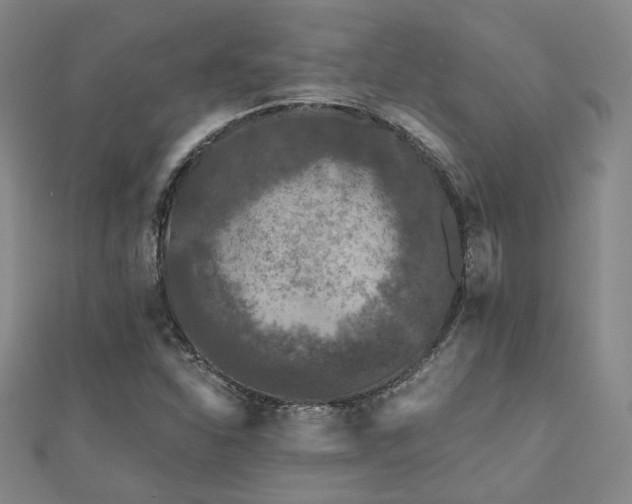 X0000111001310200906191542