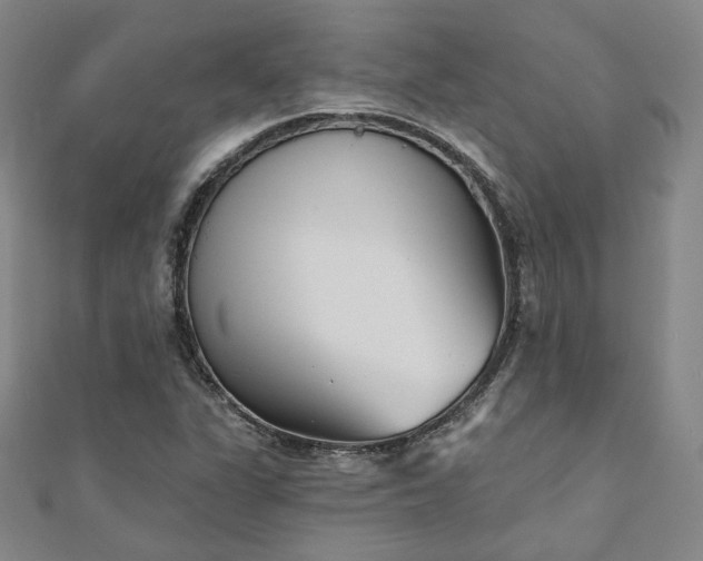 X0000111001311200906191542