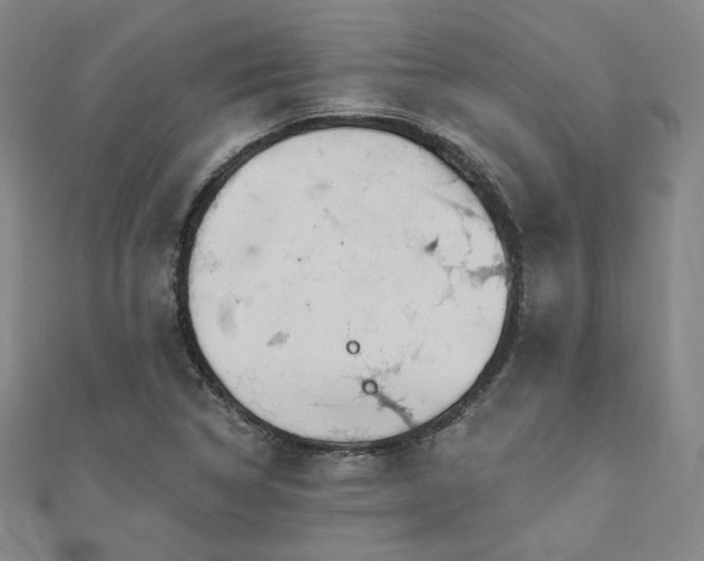 X0000111001314200906191542