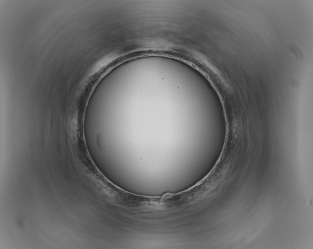 X0000111001315200906191542