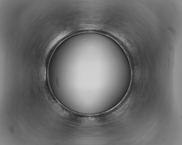X0000111001317200906191542