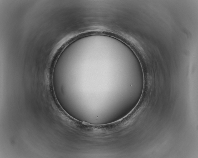 X0000111001318200906191542