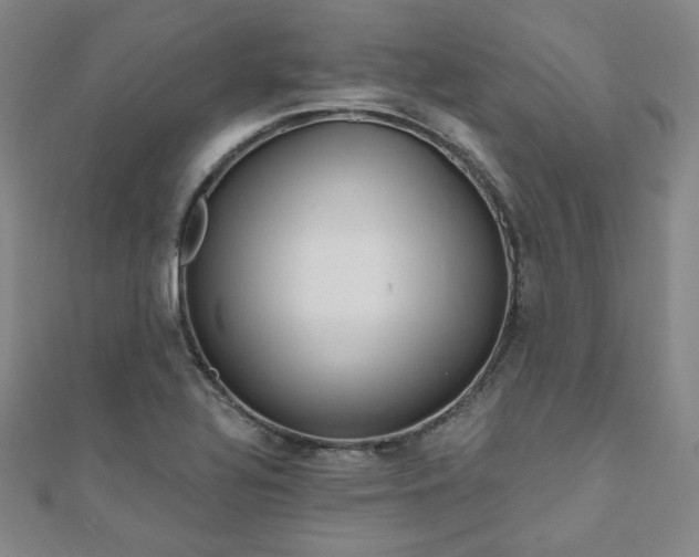 X0000111001320200906191542