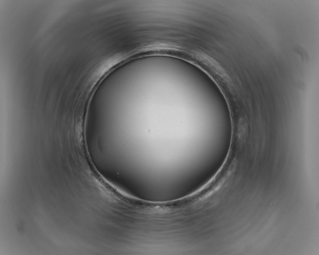 X0000111001321200906191542