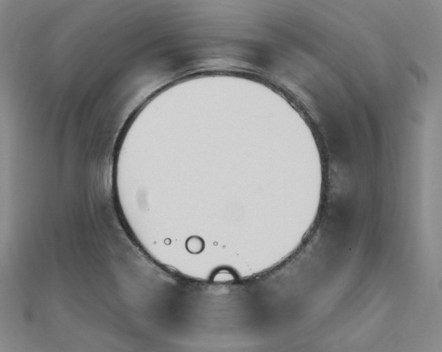 X0000111001322200906191543