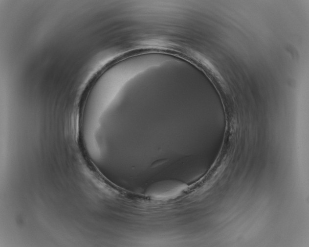X0000111001323200906191543