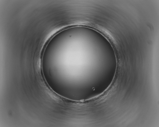 X0000111001324200906191543