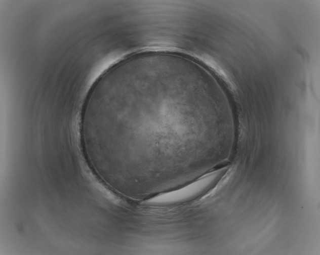 X0000111001325200906191543
