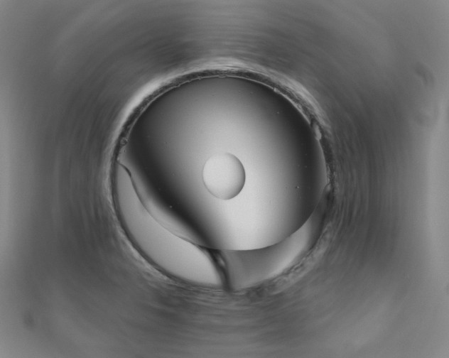 X0000111001326200906191543