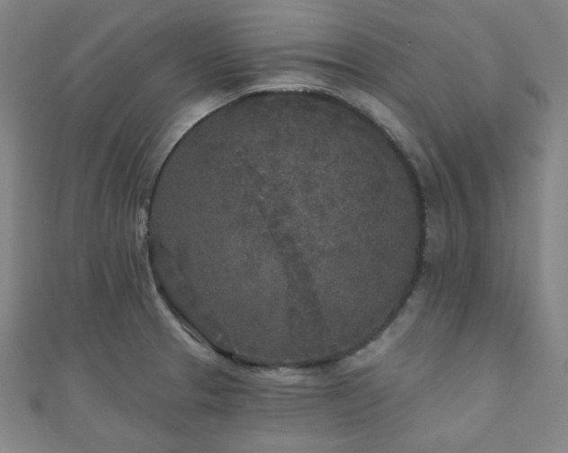 X0000111001329200906191543