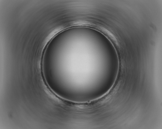 X0000111001330200906191543